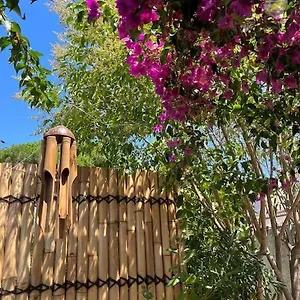 Avec Rez De Jardin Appartement
